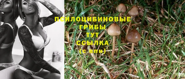 мяу мяу мука Абинск