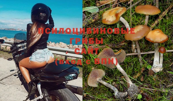 стаф Абдулино