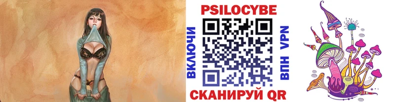 shop состав  купить наркотик  Кемерово  Галлюциногенные грибы Cubensis 